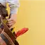 Handyman repair service in Pueblo, CO for home fixes and improvements